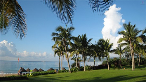泰烧烤鱼饭快餐