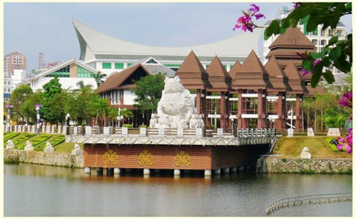 喵想吃金汤酸菜鱼