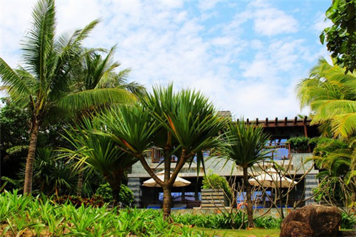 望奎县加盟开森锅泡泡鸡店竞能赚钱吗