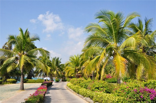 明谢五忠是什么意思（鸣谢五忠什么意思）