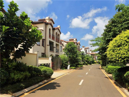 2025陶瓷花瓶加盟店哪些品牌好（陶瓷花瓶厂家直销）