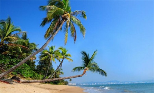 在罗山县怎么加盟优咔滋冰淇淋