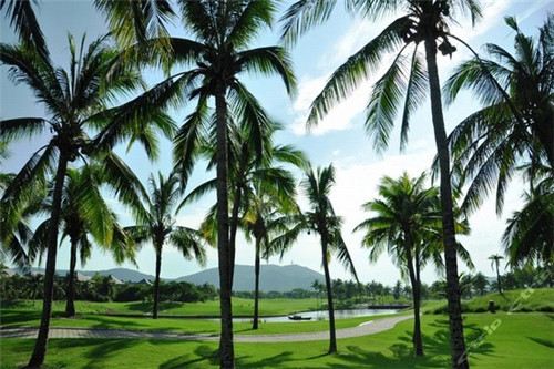 姓傅的网名如何取名男孩（姓傅的网名如何取名男孩子）