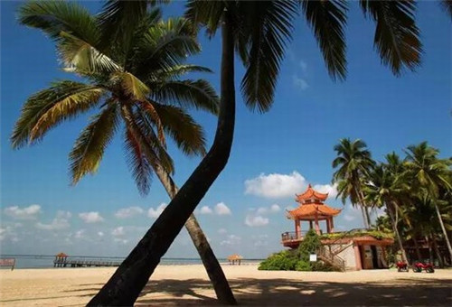 旅行靴男（旅游靴子）