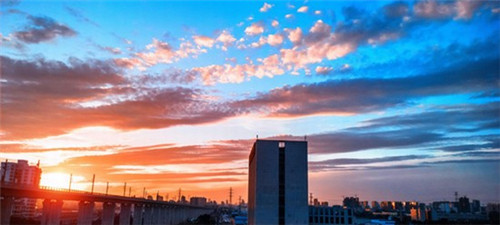 孙悟空的十大神技是什么（孙悟空的十大神技是什么名字）