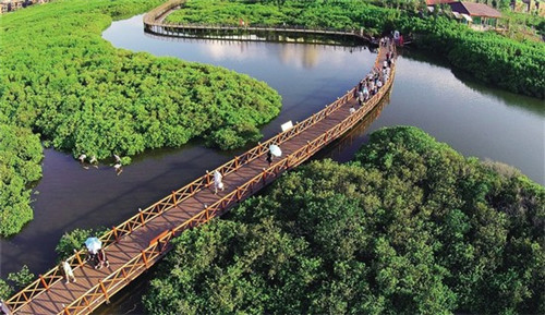 925玫瑰金是什么意思（s925玫瑰金是什么材质）